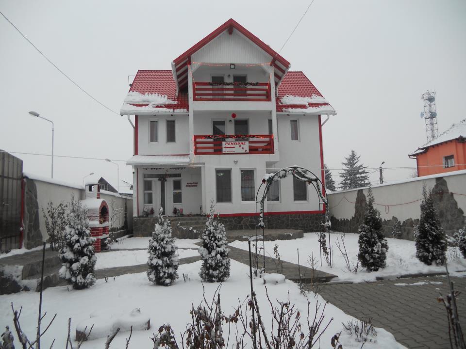 Pensiunea D&D Fagaras Exterior photo